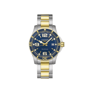 Hydroconquest 41mm
