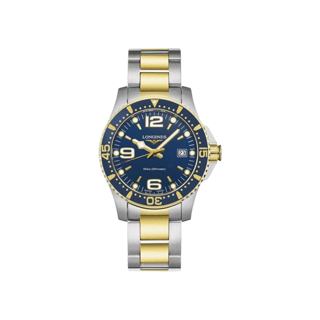 Hydroconquest 41mm